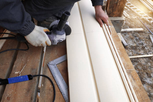 Best Weatherproofing and Sealing  in North Utica, IL